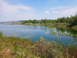 Ausblick Halbinsel Geiseltalsee