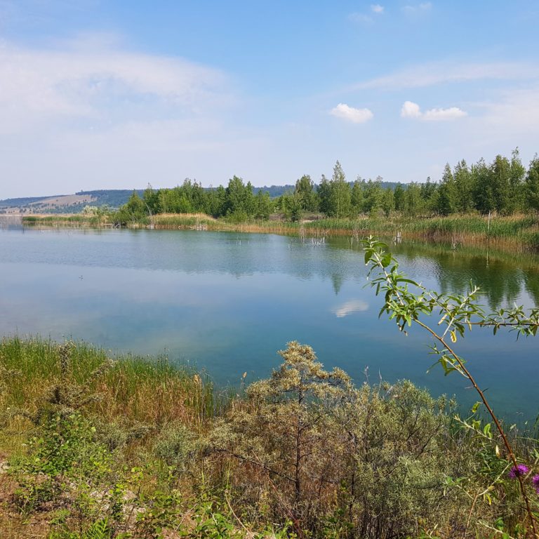 Ausblick Halbinsel Geiseltalsee