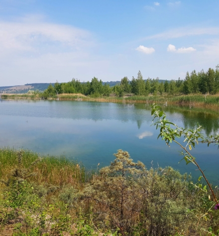 Radtour über die Halbinsel im Geiseltalsee