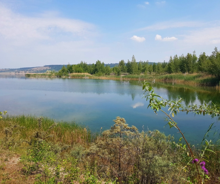 Radtour über die Halbinsel im Geiseltalsee