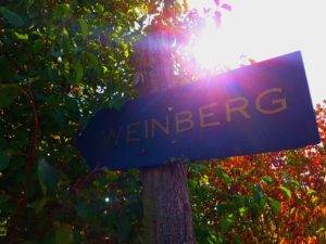 Wegweiser zum Weinberg am Geiseltalsee "Goldener Steiger"
