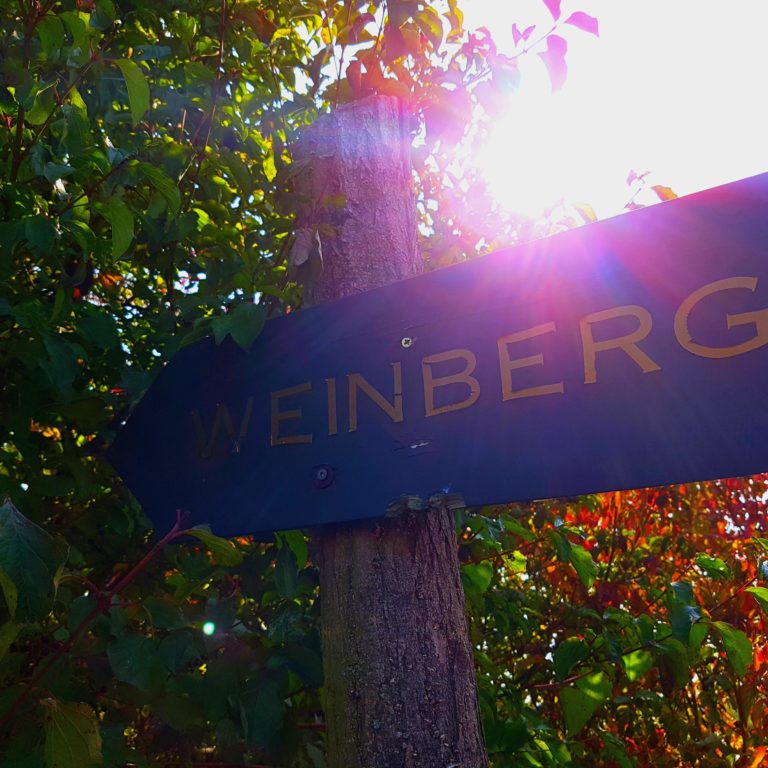 Wegweiser zum Weinberg am Geiseltalsee "Goldener Steiger"