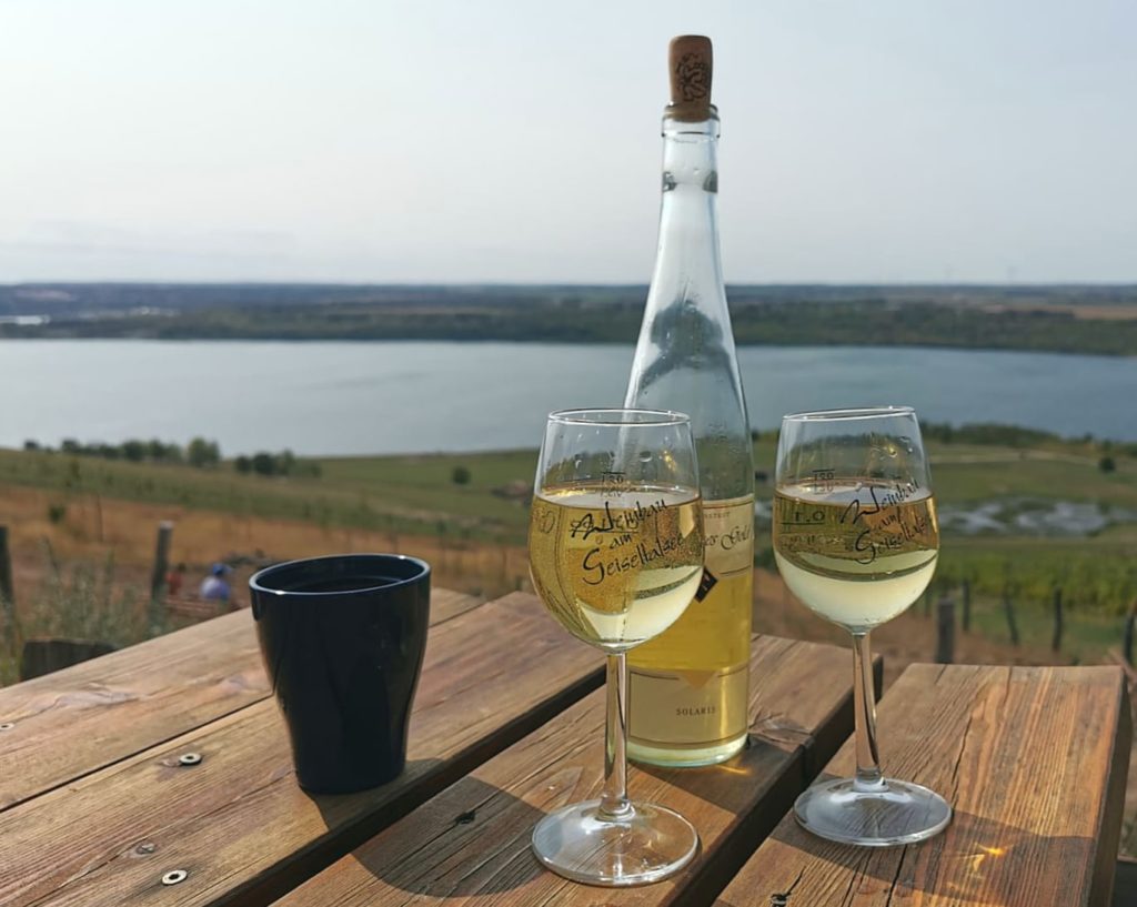 Wein auf dem Weinberg goldener Steiger trinken, Weinempfehlung Solaris Auslese