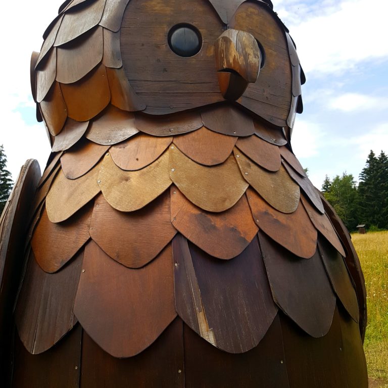 Eule auf dem Löwenzahn-Entdeckerpfad, Kinderwanderweg im Harz