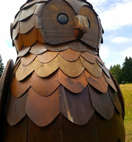 Der Löwenzahn-Entdeckerpfad im Harz
