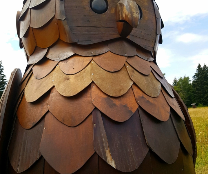 Der Löwenzahn-Entdeckerpfad im Harz