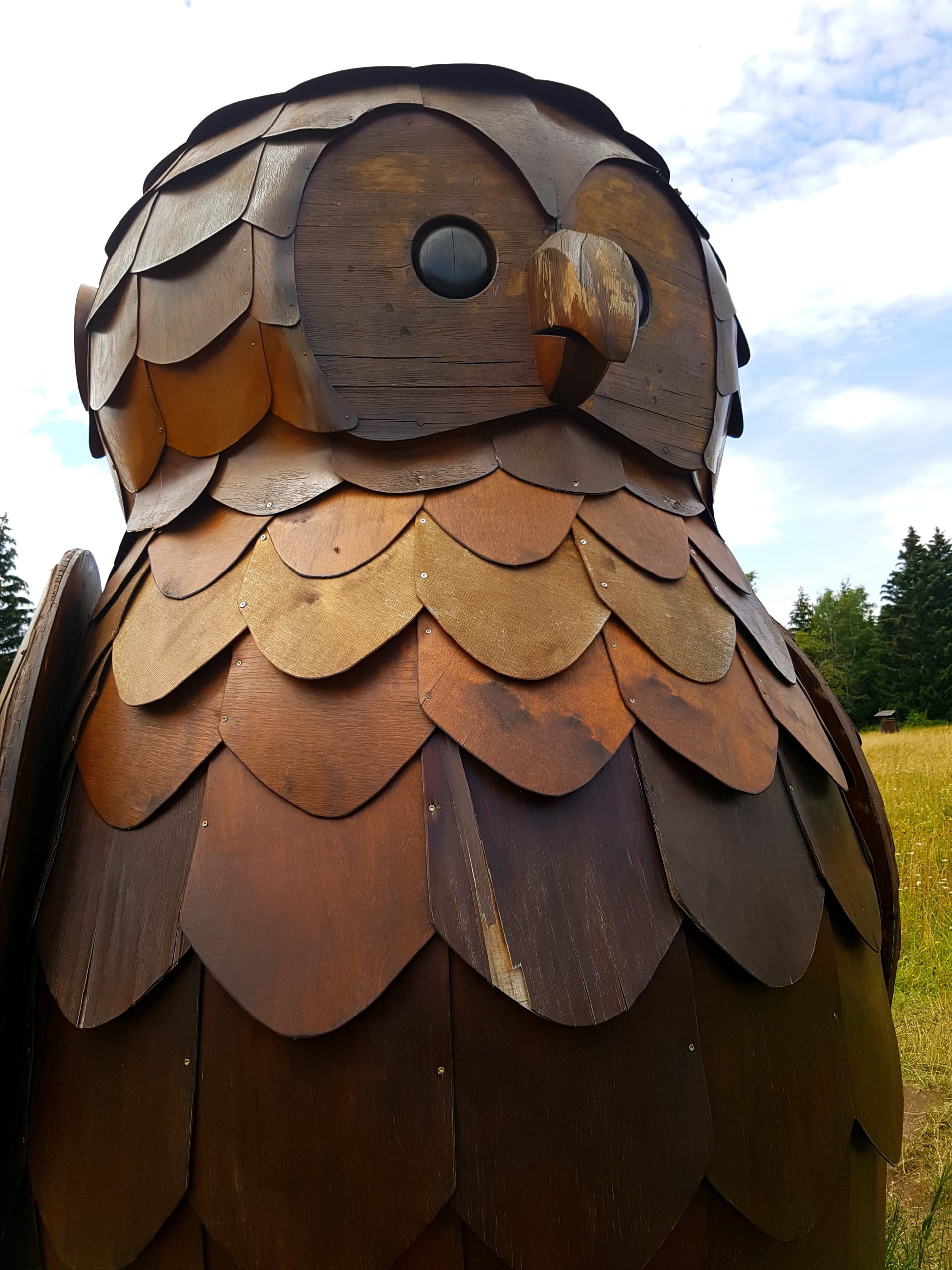 Eule auf dem Löwenzahn-Entdeckerpfad, Kinderwanderweg im Harz