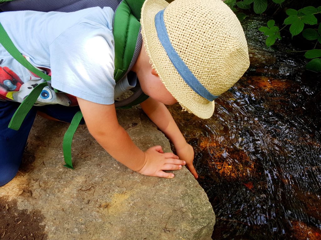 Junge spielt am Bach im Harz