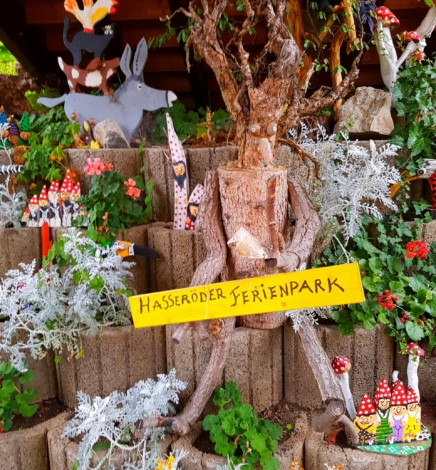Unser Kurzurlaub im Hasseröder Ferienpark