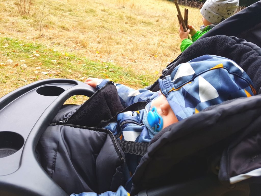 Baby im Kinderwagen auf dem kinderwagengeeigneten Wanderweg im Harz