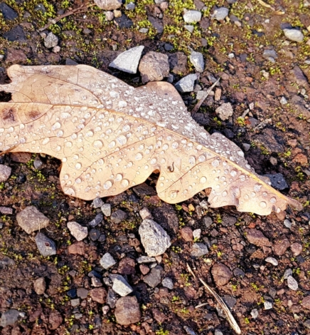 11 Ideen um Kinder auch bei schlechtem Wetter raus zu bekommen