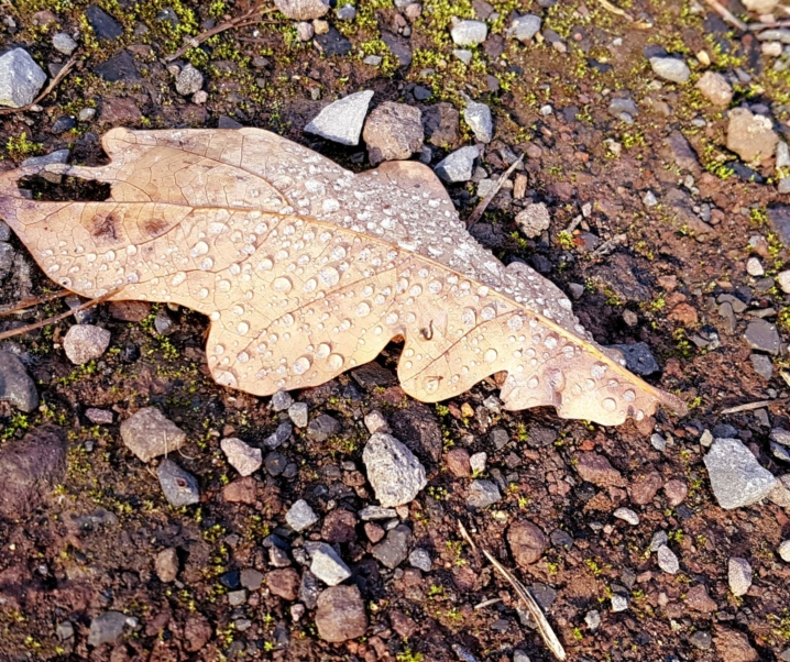 11 Ideen um Kinder auch bei schlechtem Wetter raus zu bekommen