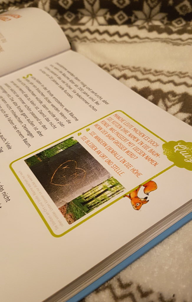 buchempfhlung, naturbuch für kinder, sachbuch, wald und bäume