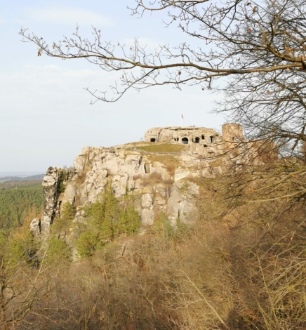 WANDERN MIT KINDERN IM HARZ – Regensteinmühle, Sandsteilhöhlen und eine Burg