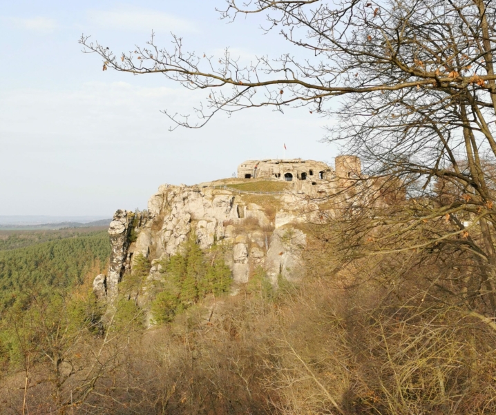 WANDERN MIT KINDERN IM HARZ – Regensteinmühle, Sandsteilhöhlen und eine Burg