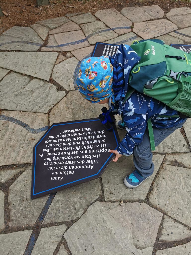 Sagenspiel/Sagenpuzzle auf dem Kinderwanderweg Naturmythenpfad im Harz