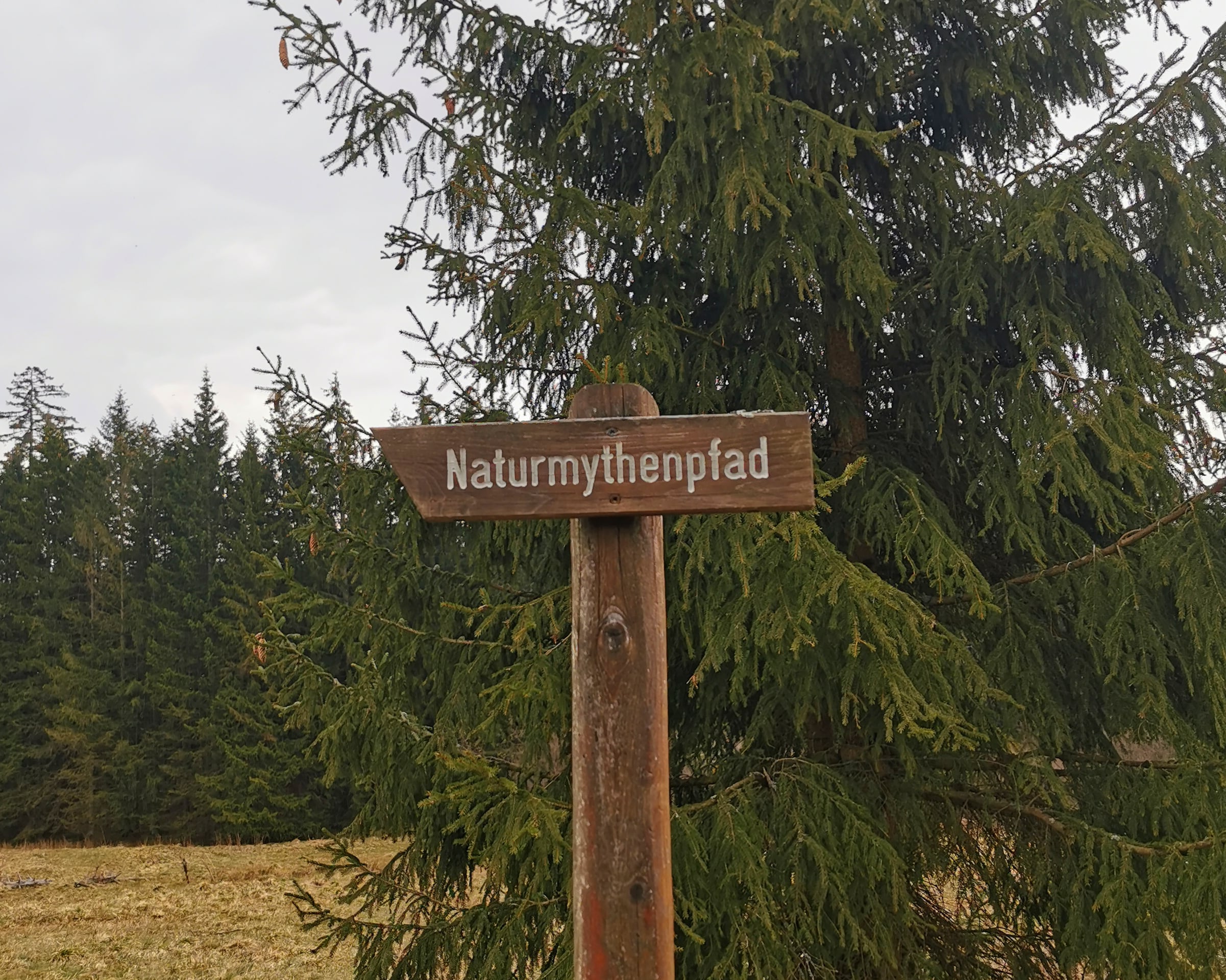 Wegweiser Naturmythenpfad