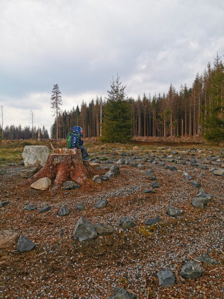 Labyrinth auf dem Naturmythenpfad in Braunlage