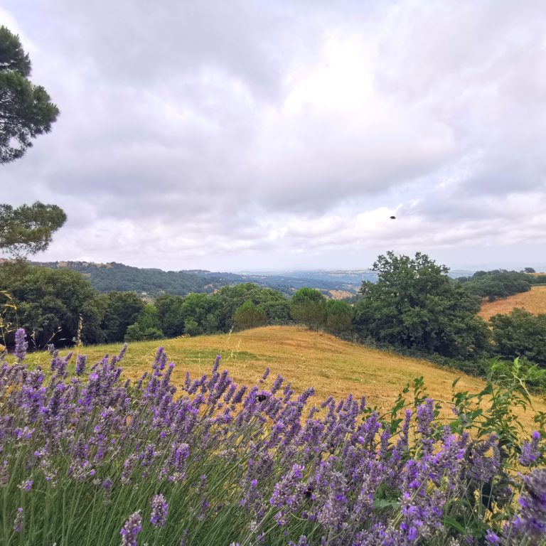 Ausblick auf eine Toskanalandschaft
