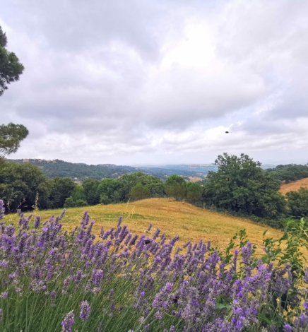 Unsere Italien-Rundreise mit Kindern