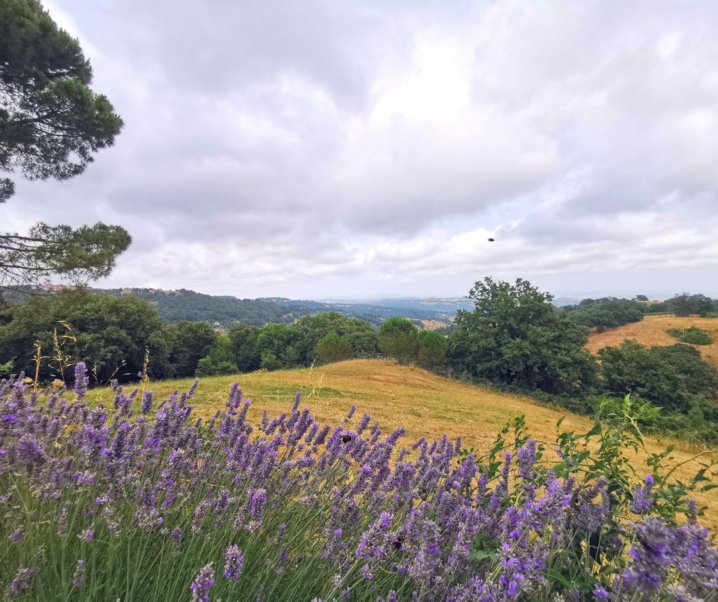 Unsere Italien-Rundreise mit Kindern