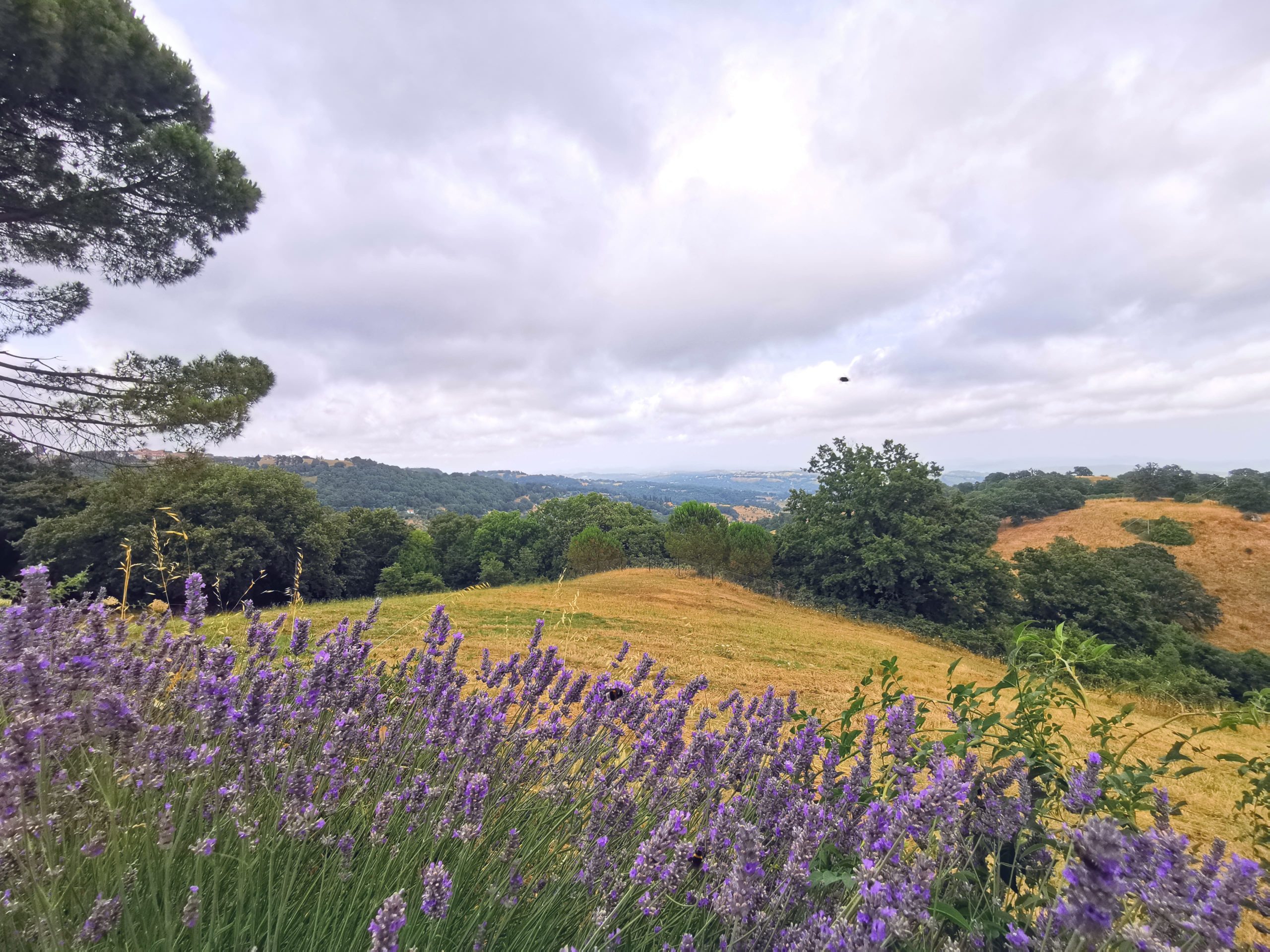 Ausblick auf eine Toskanalandschaft