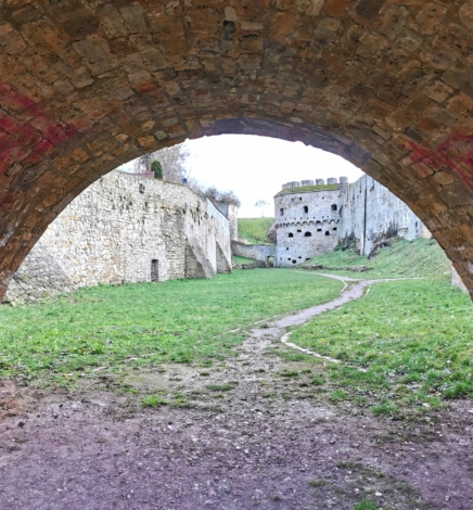 15 Outdoor-Unternehmungen rund ums Geiseltal