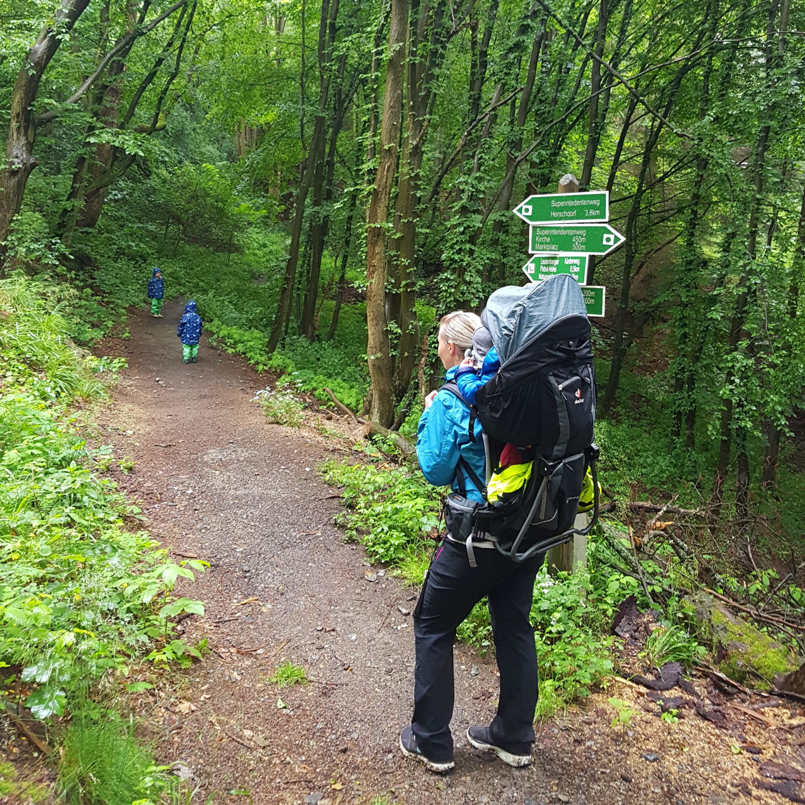 Wandern mit Kindern und Baby im Thüringer Wald. Kinderwanderweg "Dem Feuersalamander auf der Spur"