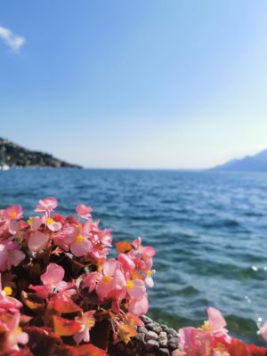 gardasee, ausflüge mit kindern, reiseblog