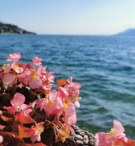 Gardasee mit Kindern