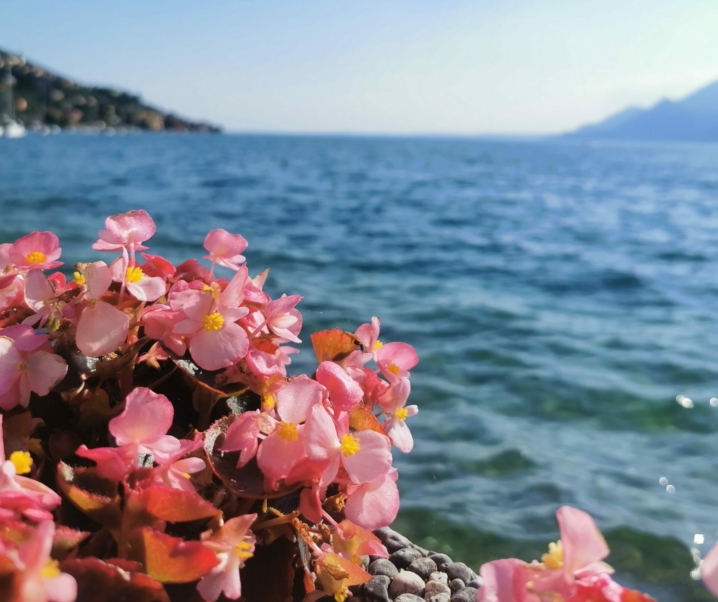 Gardasee mit Kindern