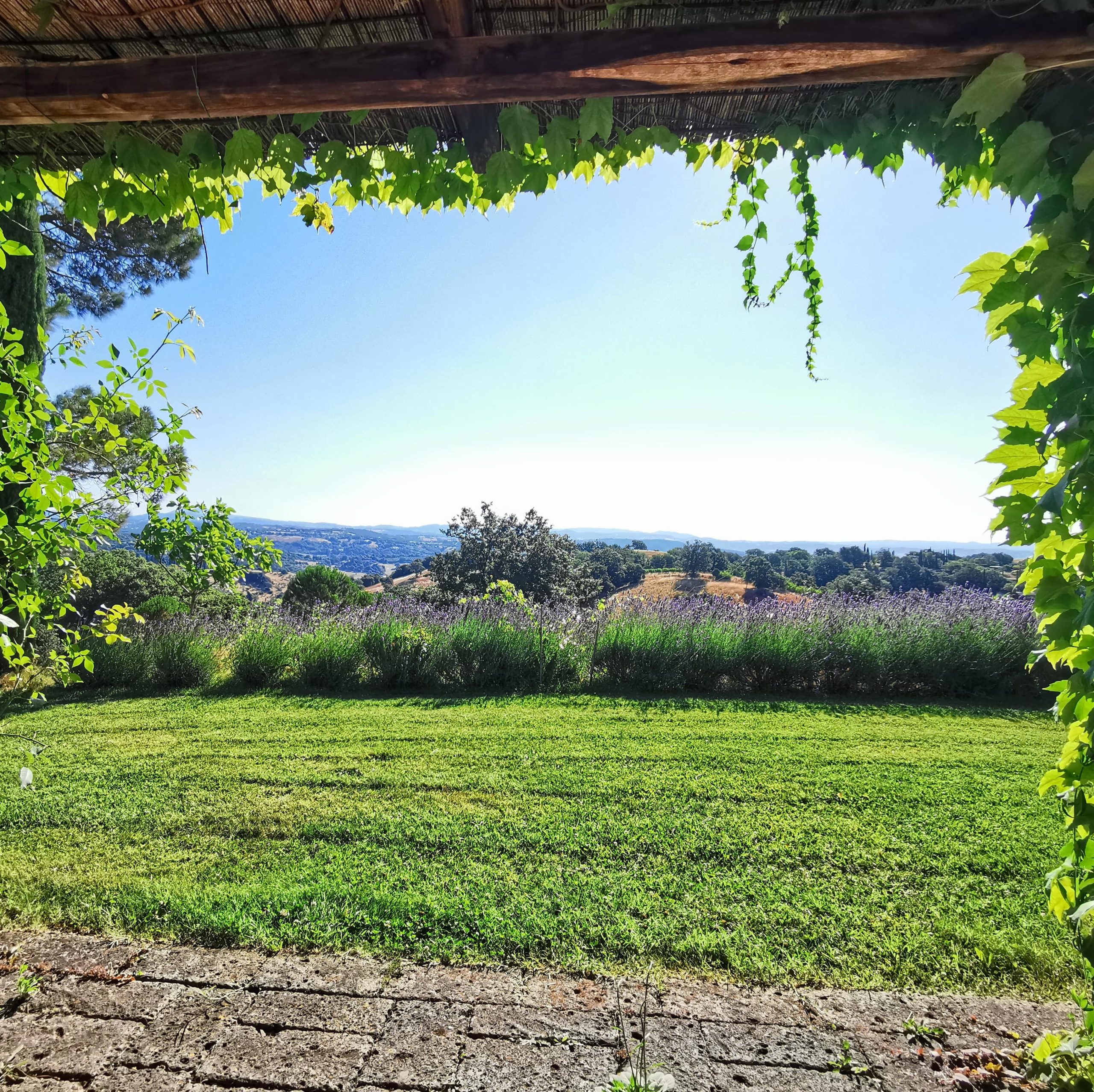 Toskana Aussicht vom Ferienhaus