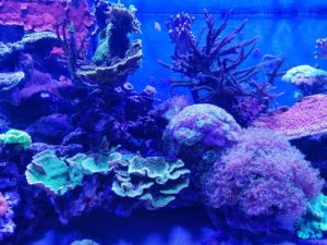 Aquarium Erlebnispark Zella-Mehlis