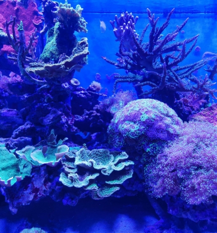 Familienausflug ins Meeresaquarium Zella-Mehlis