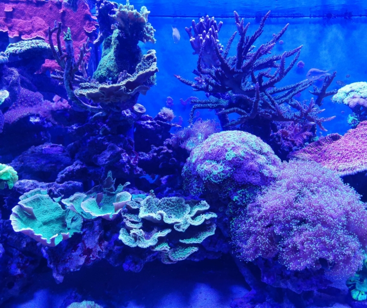 Familienausflug ins Meeresaquarium Zella-Mehlis
