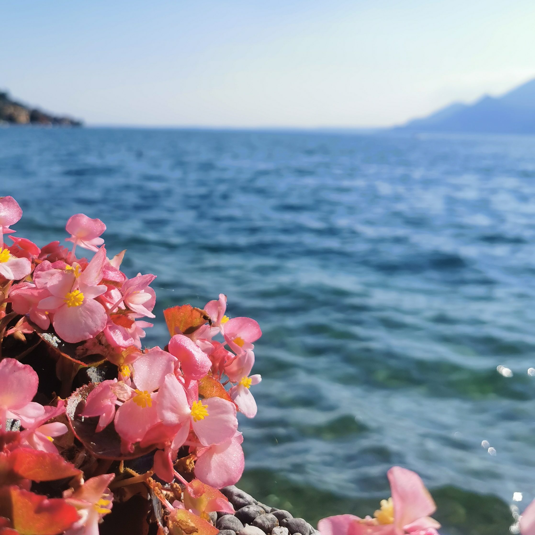 gardasee, ausflüge mit kindern, reiseblog