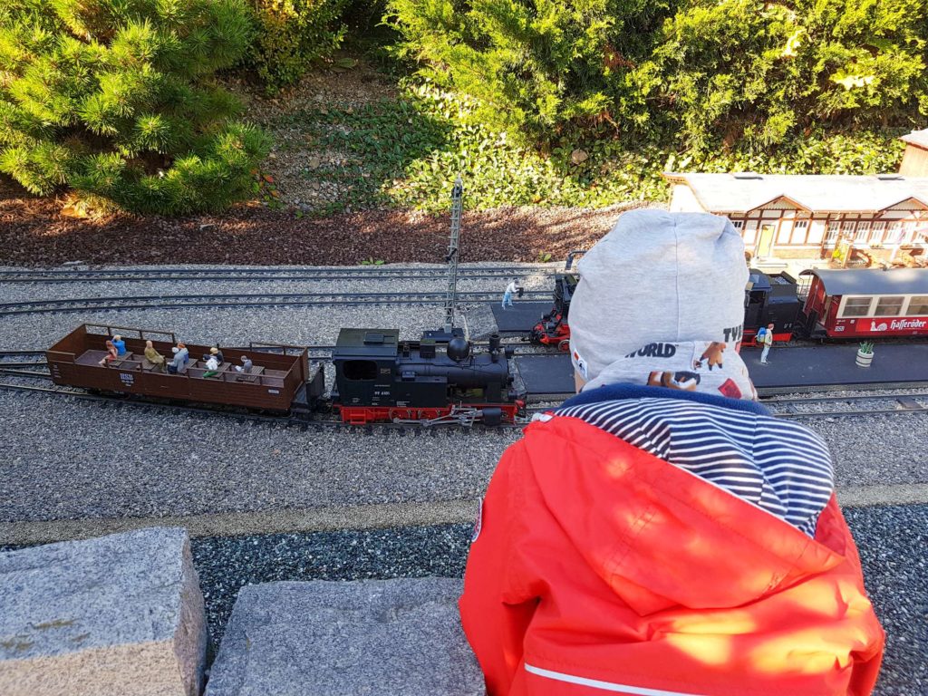 Mit Kindern im Harz, Junge schaut sich die Modell-Dampflok im Miniaturenpark an.