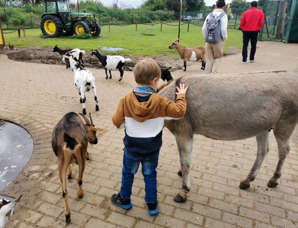 Streichelgehege im Serengetipark