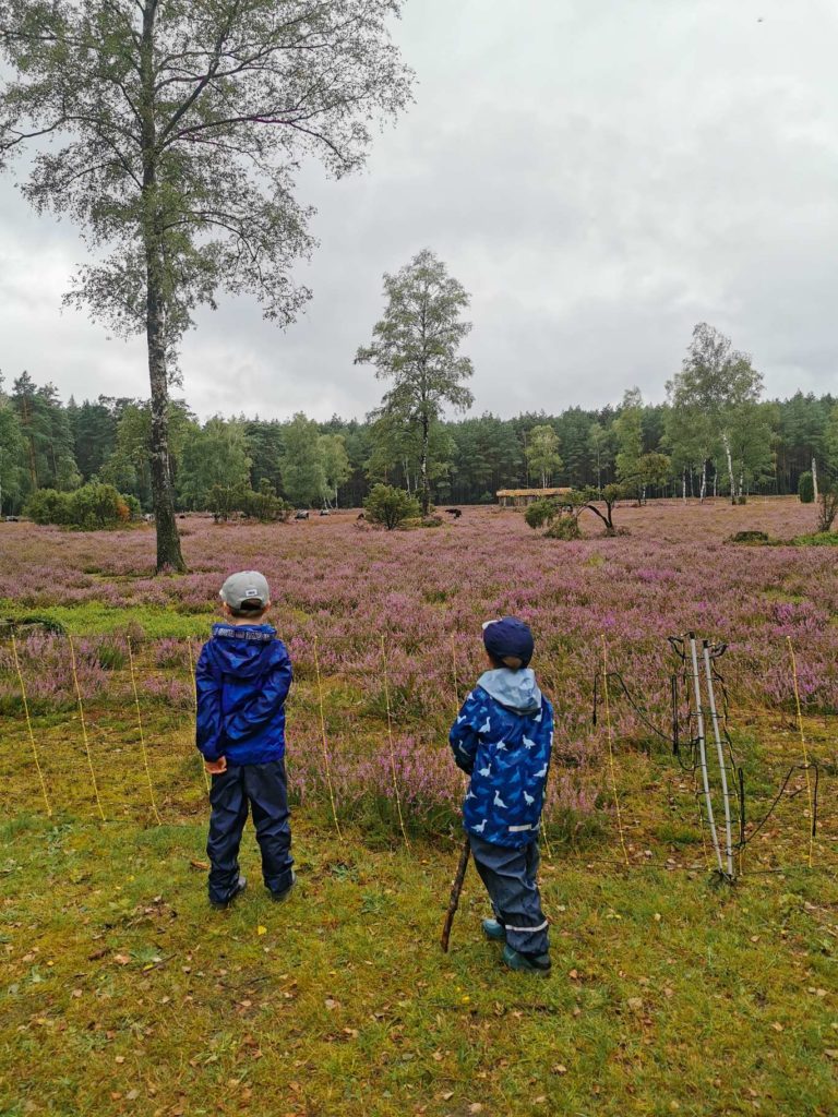 Lüneburger Heide mit Kindern, Ausflugstipps, Soltau