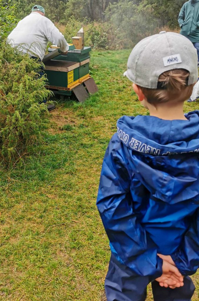 Imker in der Lüneburger Heide, Vortrag