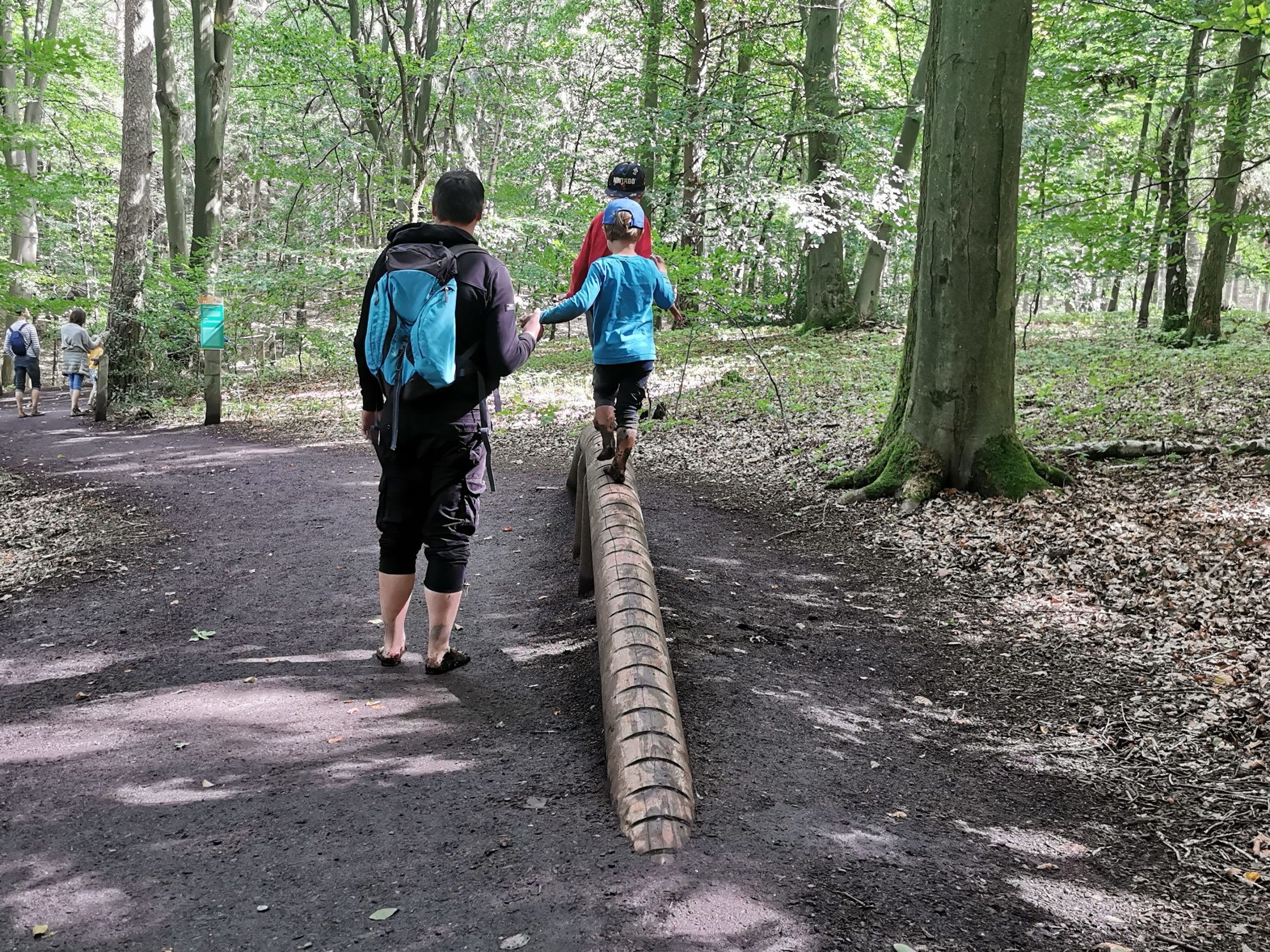 Kinder balancieren im Barfußpark Lüneburger Heide
