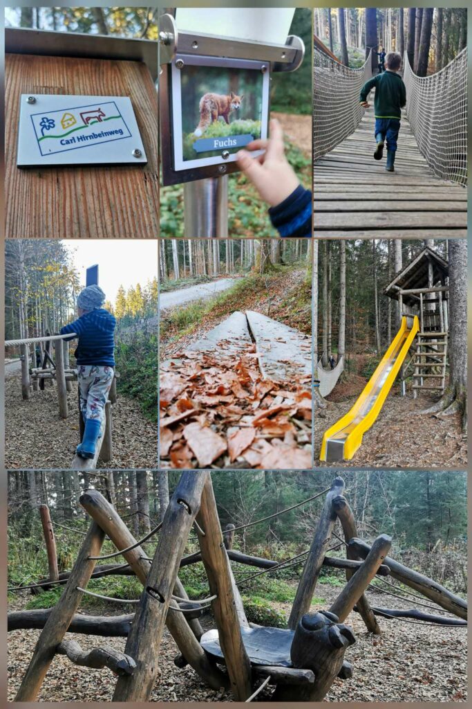 Kinderwanderweg, Familienweg, Carl-Hirnbein-Weg im Allgäu