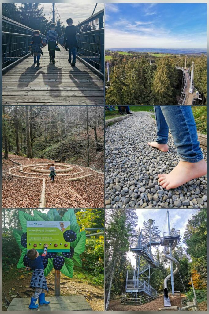 Skywalk Allgäu Natuererlebnispark, Familienurlaub, Ausflugstipp , Baumwipfelpfad