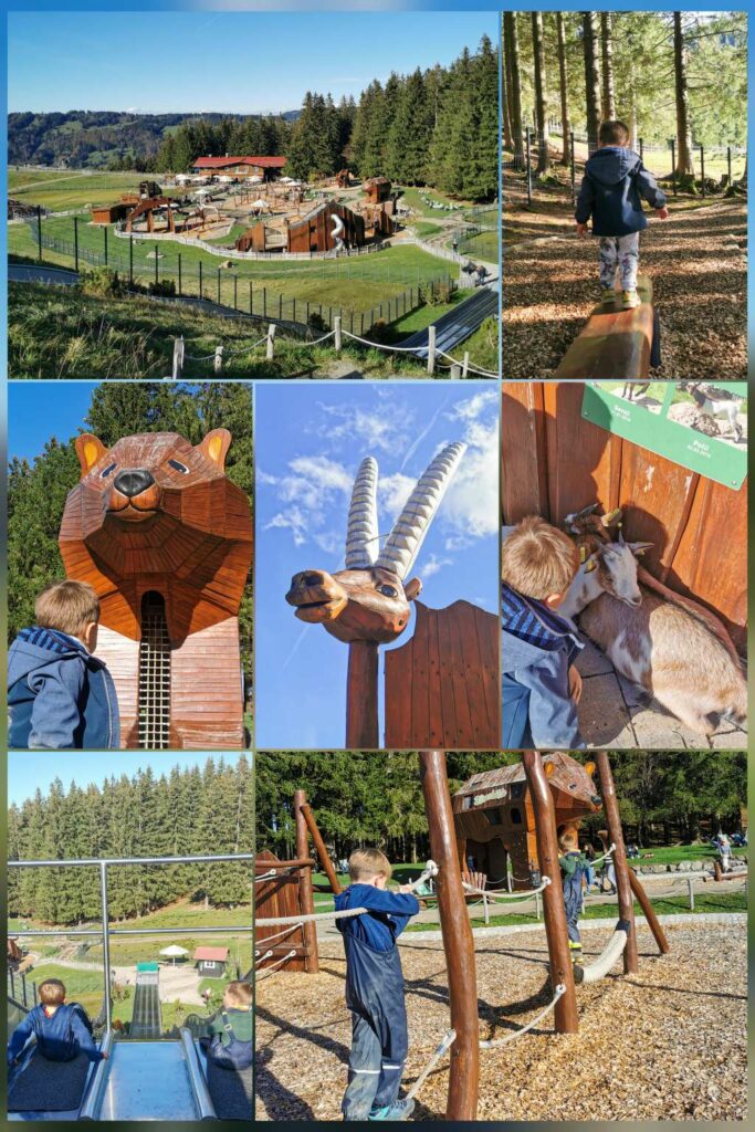 Abenteuer Alpe Erlebnisspielplatz auf dem Berg, Bergsee Erlebniswelt, Urlaub im Allgäu