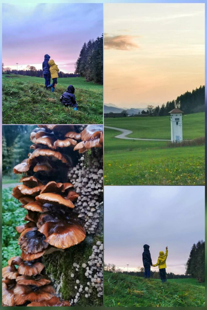 Kleine Wanderung in Meierhöfen mit Kindern im Allgäu