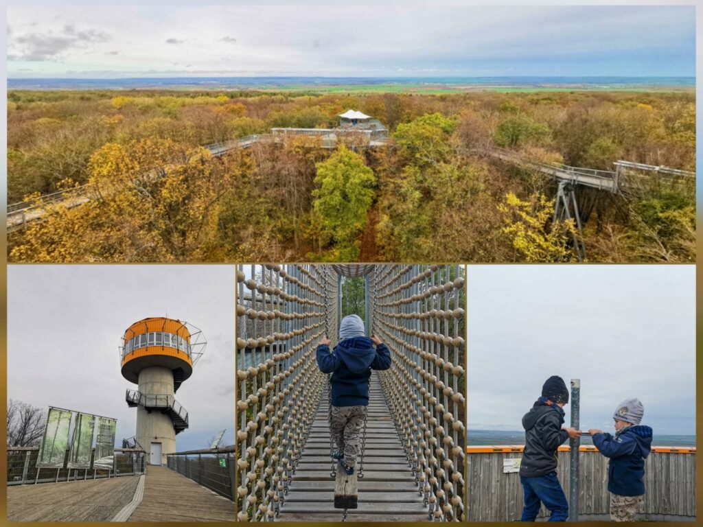 Baumkronenpfad im Nationalpark Hainich mit Kindern erleben, Ausflug in Thüringen mit den Rabauken vom See