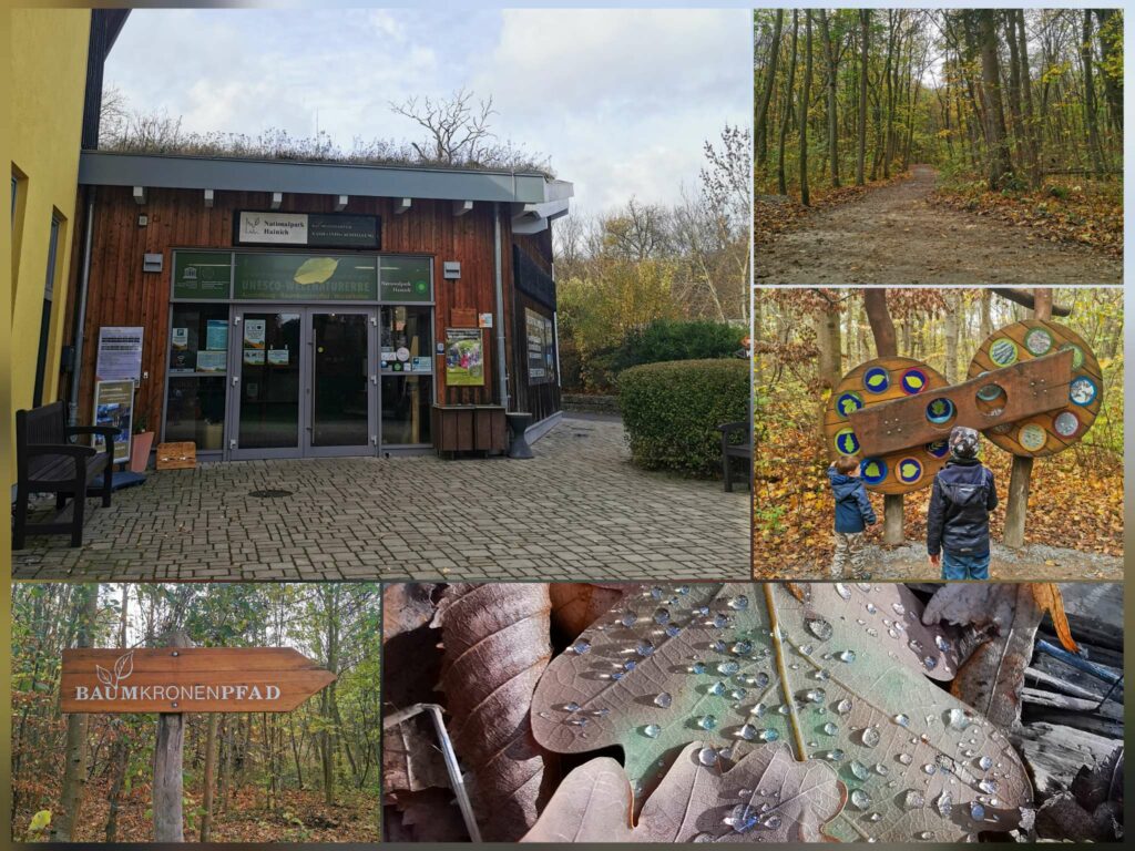 Naturparkzentrum im Nationalpark Hainich am Baumkronenpfad, Familienausflug mit Erlebniswelt und Spielplatz