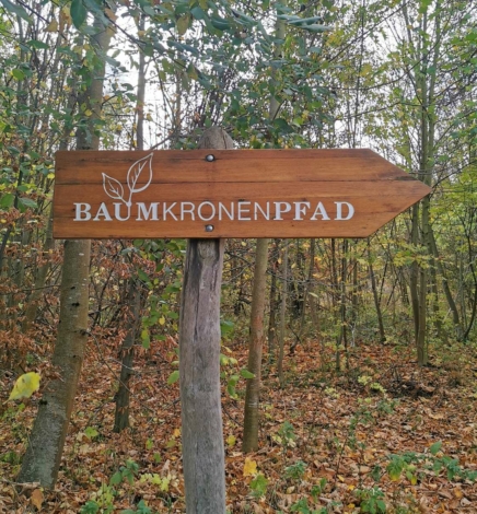 Der Baumkronenpfad im Nationalpark Hainich