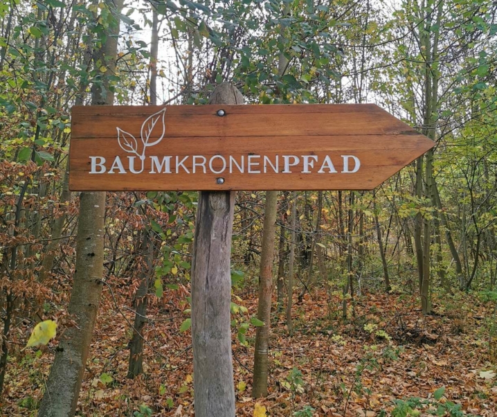 Der Baumkronenpfad im Nationalpark Hainich