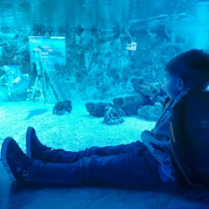 Meereaquarium Zella-Mehlin Familienausflug, Junge sitzt am Aquarium